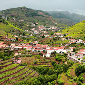 Douro gay cruise - Peso da Regua