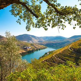 Pocinho Douro Valley gay cruise