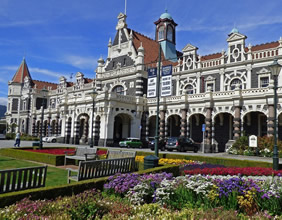Dunedin New Zealand gay cruise
