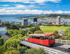 Wellington, New Zealand gay cruise