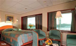 Amadeus Symphony Suite