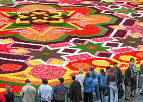 Belgium Flower Carpet Festival