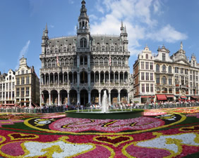 Brussels Flower Carpet Festival gay cruise