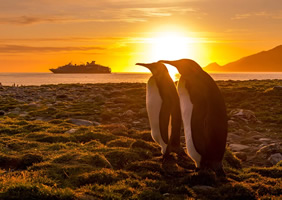Antarctica gay cruise penguins
