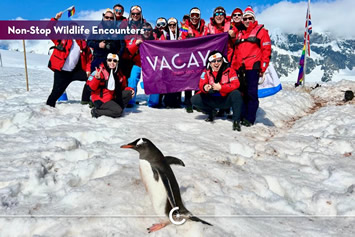 Antarctica Gay cruise wildlife encounters