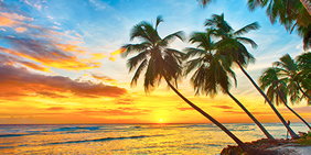 Caribbean gay cruise - Barbados