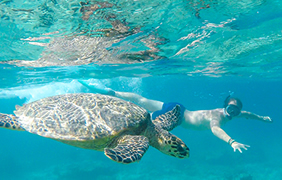 Seychelles gay cruise - Sainte Anne Marine National Park