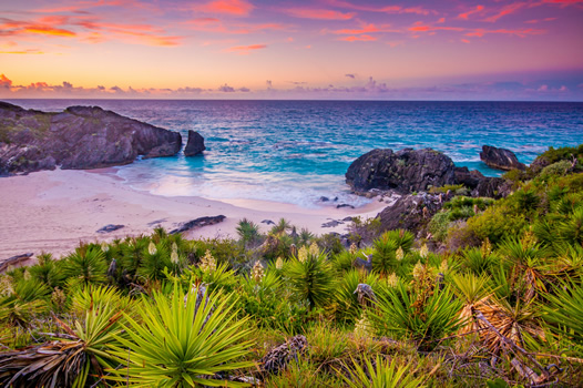 Bermuda Gay Cruise 2028