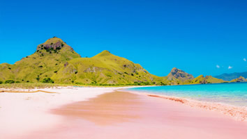 Flores gay cruise pink beach