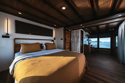 Rainbow Parrotfish Cabin