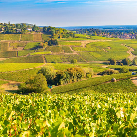 Burgundy gay cruise - Macon