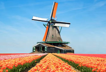 Gay Holland cruise