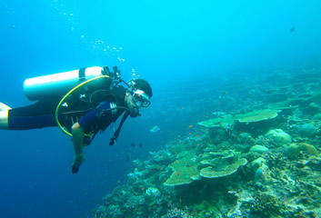 Maldives diving cruise