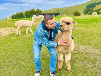 New Zealand gay cruise