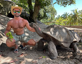 Seychelles gay cruise tortoise