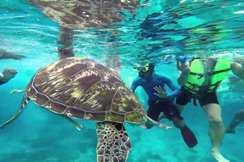 Similan Islands gay diving cruise