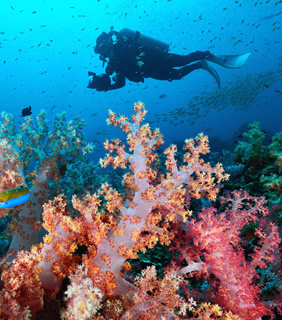 Similan Islands scuba diving