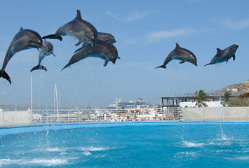 Mexican Riviera gay group Cruise