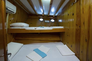 Artemis triple cabin