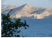 Exclusively Gay Croatia Cruise visiting Island of Krk