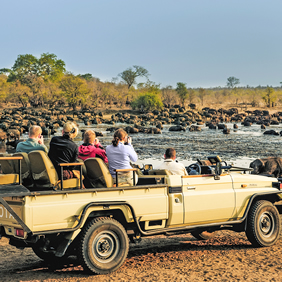 Chobe gay safari tour