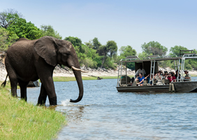 Namibia gay safari