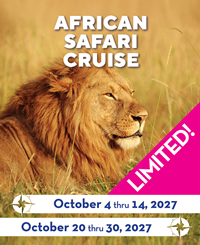 Africa luxury gay safari cruise