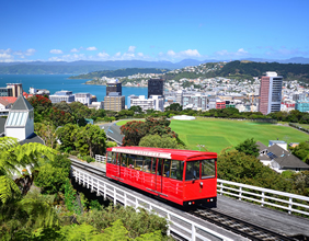 Wellington, New Zealand gay cruise