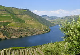 Douro Valley gay cruise