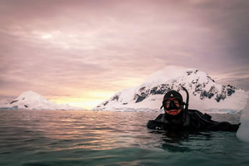 Antarctica gay cruise scuba dive