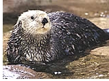 Gay Group cruise visiting Seward, Alaska