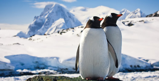 Antarctica & South America Gay Cruise 2019