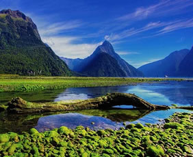 New Zealand gay cruise - Milford Sound