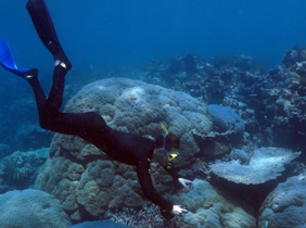 Australia gay cruise - Great Barrier Reef