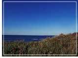 New Zealand to Australia Gay Group cruise visiting Tauranga, New Zealand
