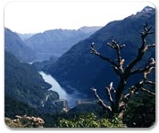 Australia and New Zealand Gay group cruise visiting Doubtful Sound, New Zealand
