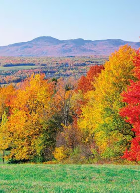 New England fall foliage gay cruise