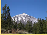 Queen Victoria Gay group Canary Islands cruise visiting Tenerife, Canary Islands