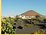 Queen Victoria Gay group Canary Islands cruise visiting Lanzarote, Canary Islands