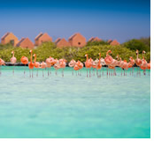 Equinox Ultimate Caribbean Gay group cruise visiting Kralendijk, Bonaire