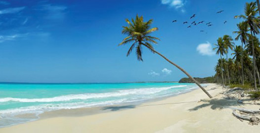 Ultimate Caribbean Gay Group Cruise 2019