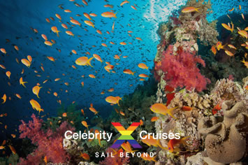 Celebrity Eastern Caribbean gay cruise