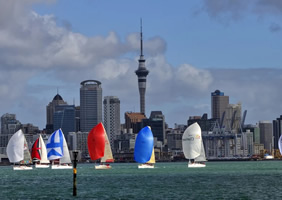 Auckland gay cruise
