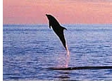 Galapagos Islands Gay group cruise visiting Bartolome, San Salvador