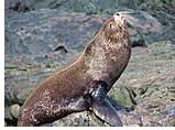 Galapagos Islands Gay group cruise visiting Puerto Ayora, Santa Cruz