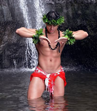 Hawaii Gay group cruise 2023