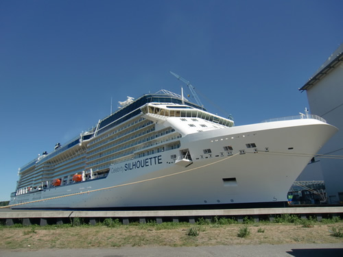 Celebrity Silhouette