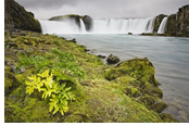 Iceland and Fjords Gay group cruise visiting Schollart Akureyri, Iceland