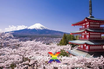 Japan cherry blossom gay cruise