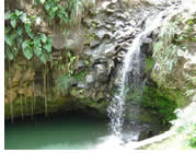 Queen Victoria Gay group Caribbean and Panama cruise visiting St.George's, Grenada
